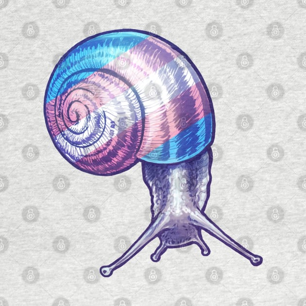 Trans Snail by Merdet